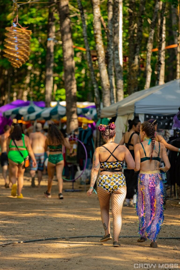 Photo du festival Future Forest 2022