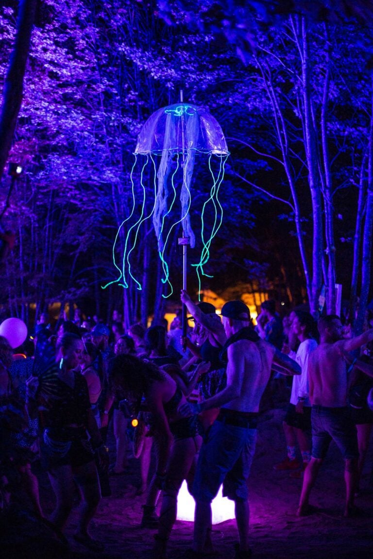 Photo du festival Future Forest 2022