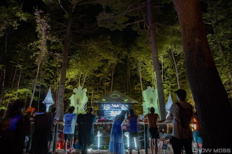 Photo du festival Future Forest 2022
