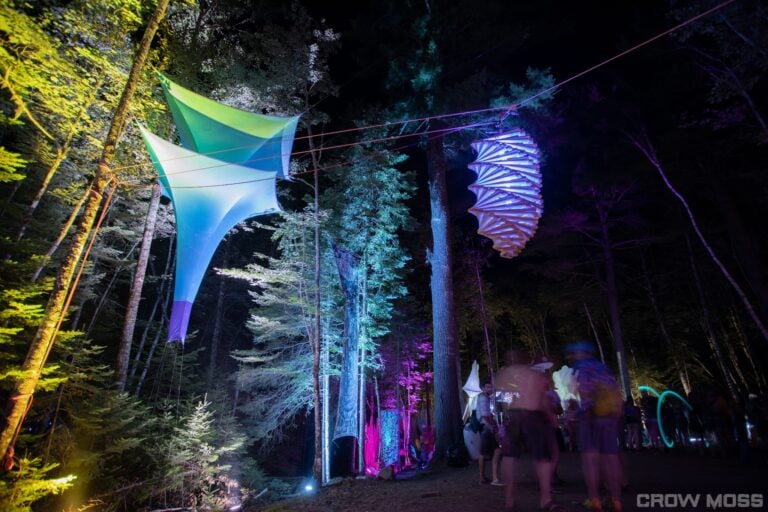 Photo du festival Future Forest 2022