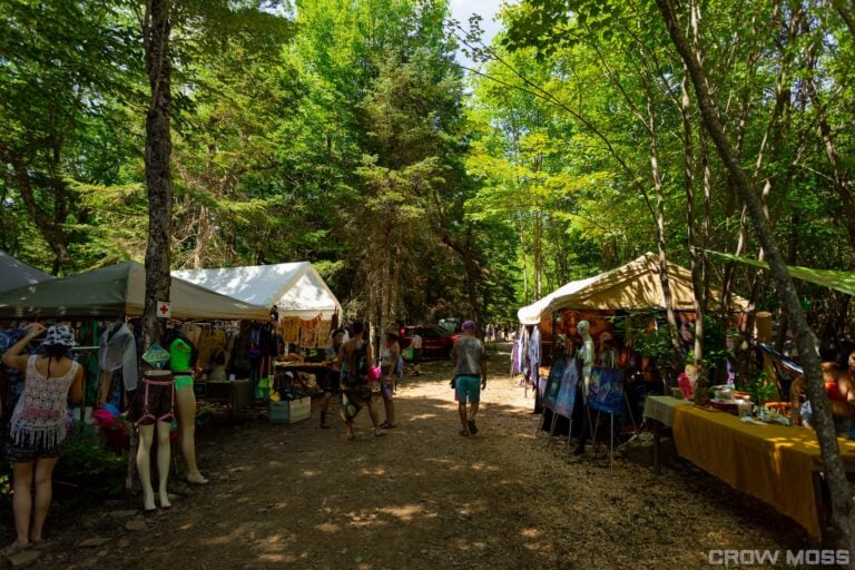 Photo du festival Future Forest 2022