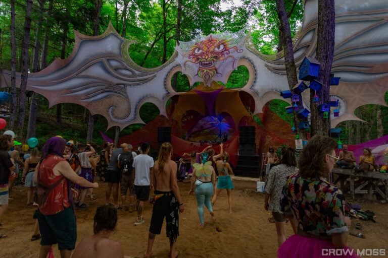 Photo du festival Future Forest 2022