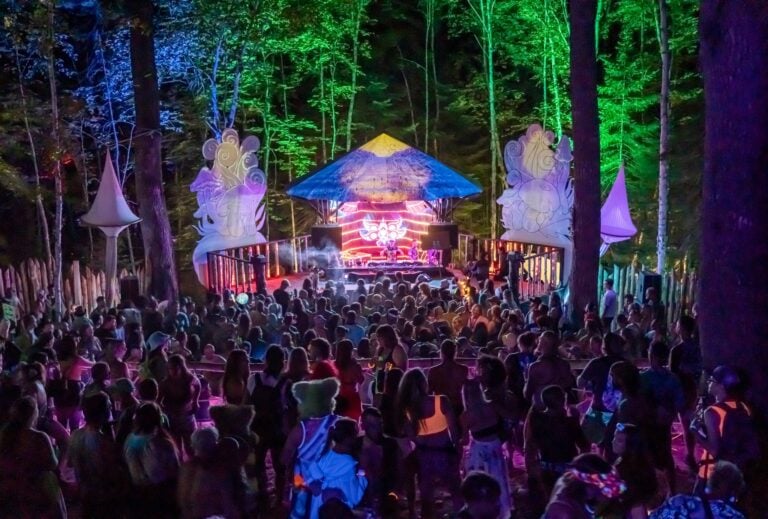 Photo du festival Future Forest 2022