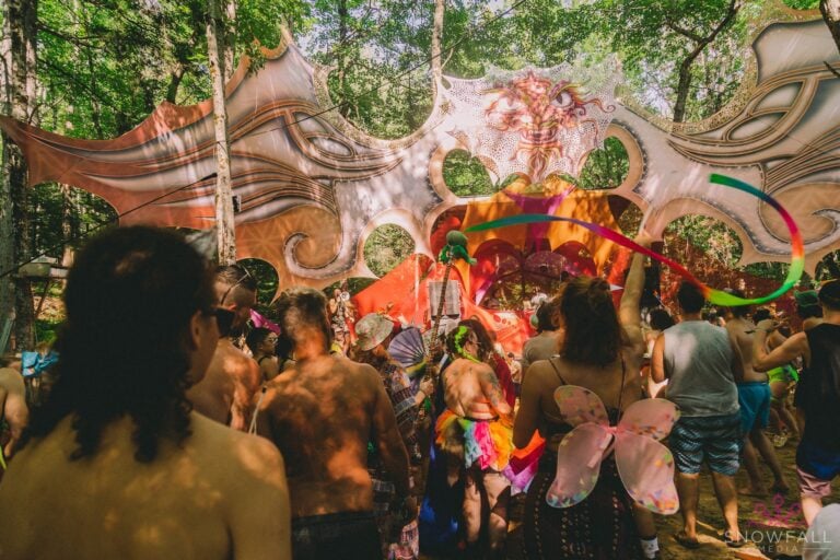 Photo du festival Future Forest 2022