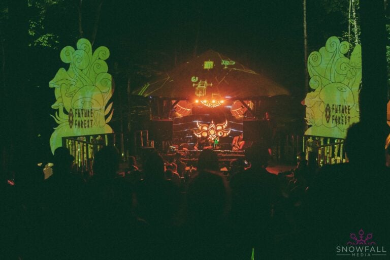 Photo du festival Future Forest 2022