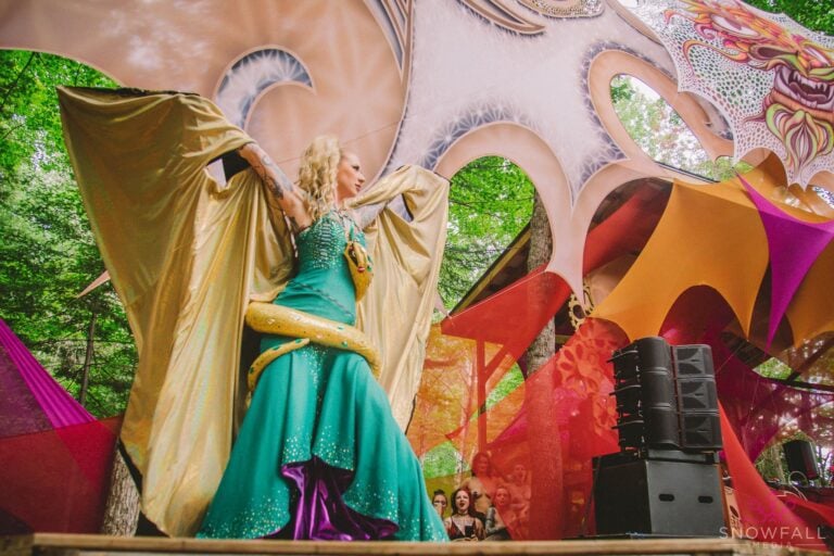 Photo du festival Future Forest 2022