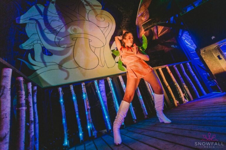 Photo du festival Future Forest 2022
