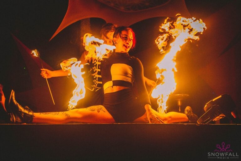 Photo du festival Future Forest 2022
