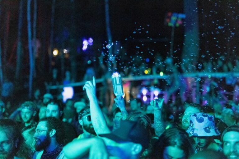 Photo du festival Future Forest 2022