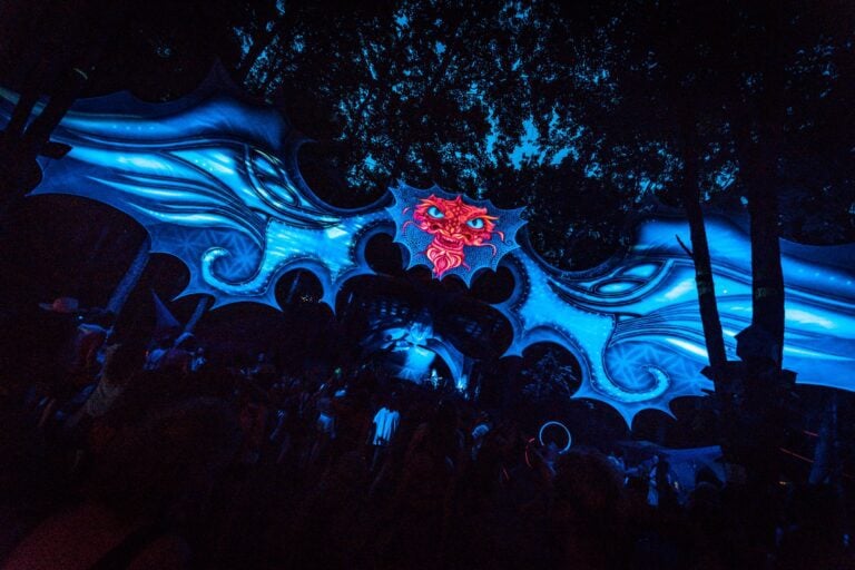 Photo du festival Future Forest 2022