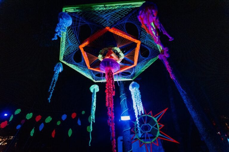 Photo du festival Future Forest 2022