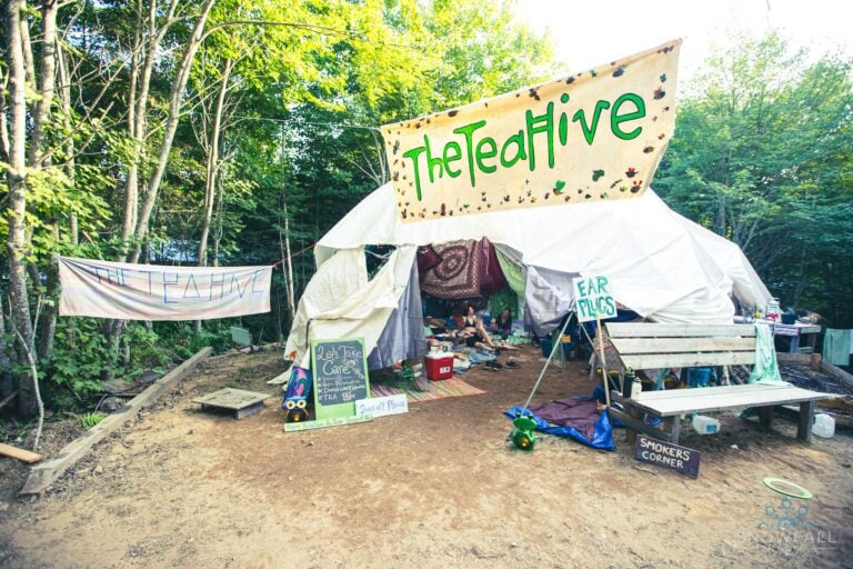 Photo du festival Future Forest 2022