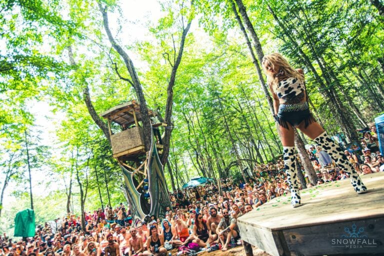 Photo du festival Future Forest 2022