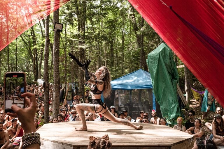 Photo du festival Future Forest 2022