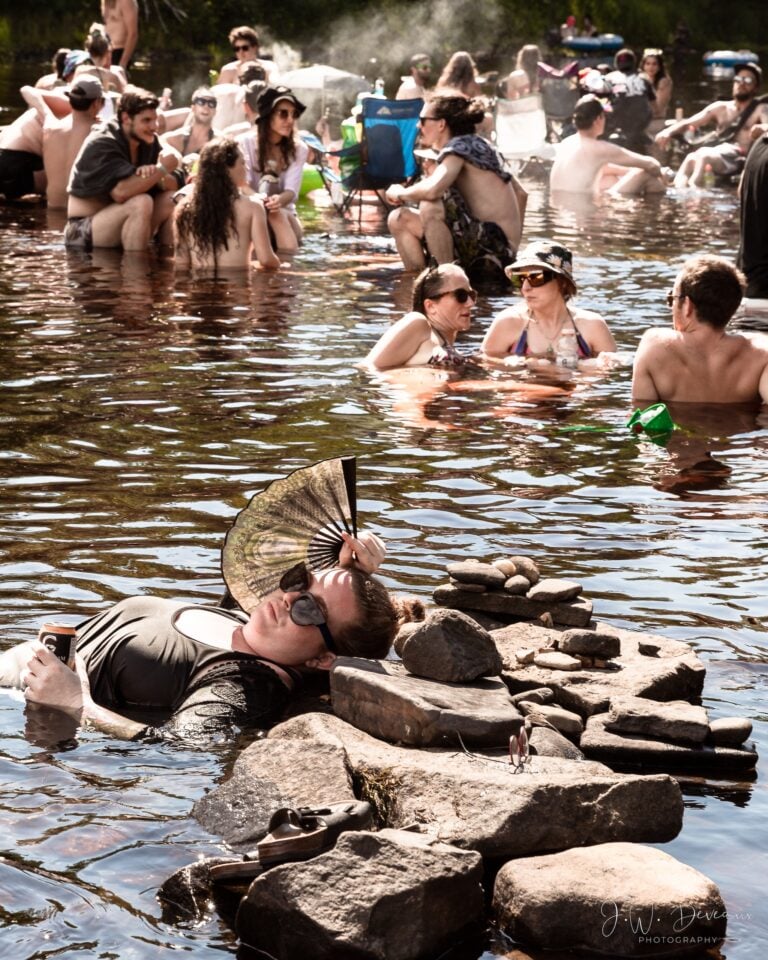 Photo du festival Future Forest 2022