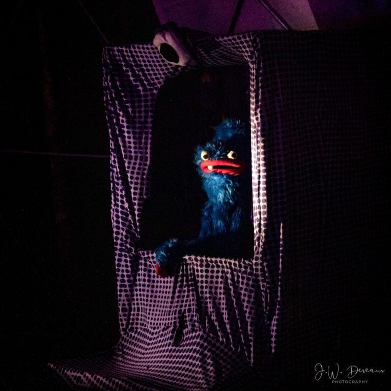 Photo du festival Future Forest 2022