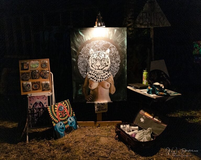 Photo du festival Future Forest 2022