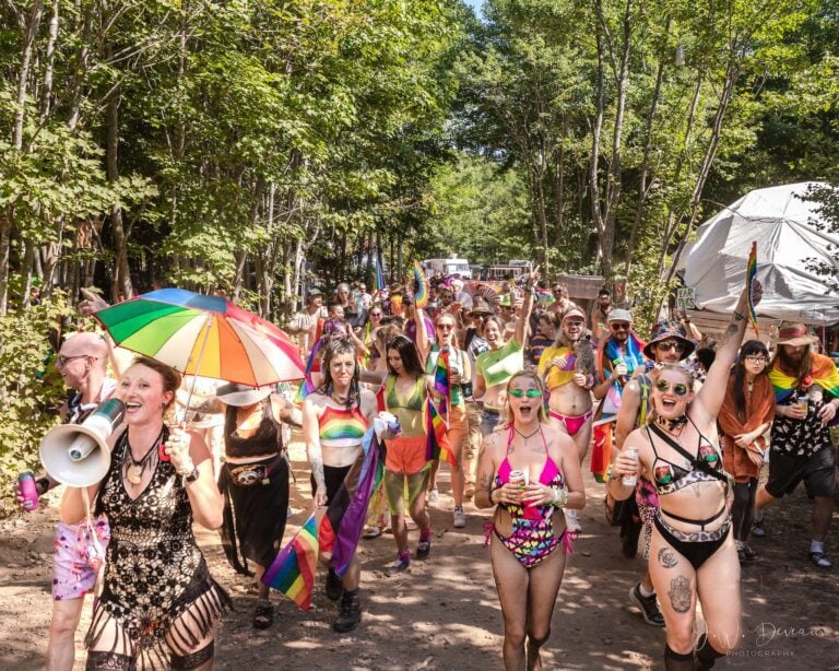 Photo du festival Future Forest 2022