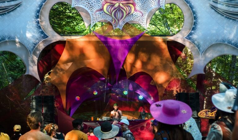 Photo du festival Future Forest 2022