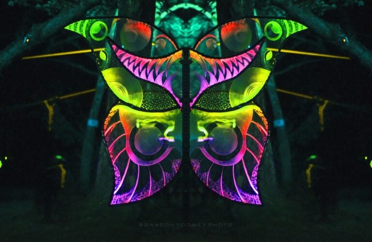 Photo du festival Future Forest 2022