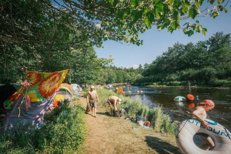 Photo du festival Future Forest 2022