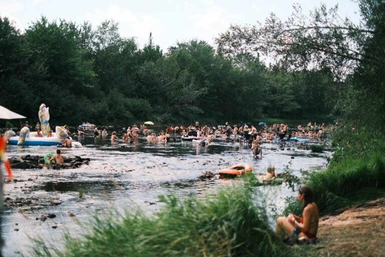 Photo du festival Future Forest 2022