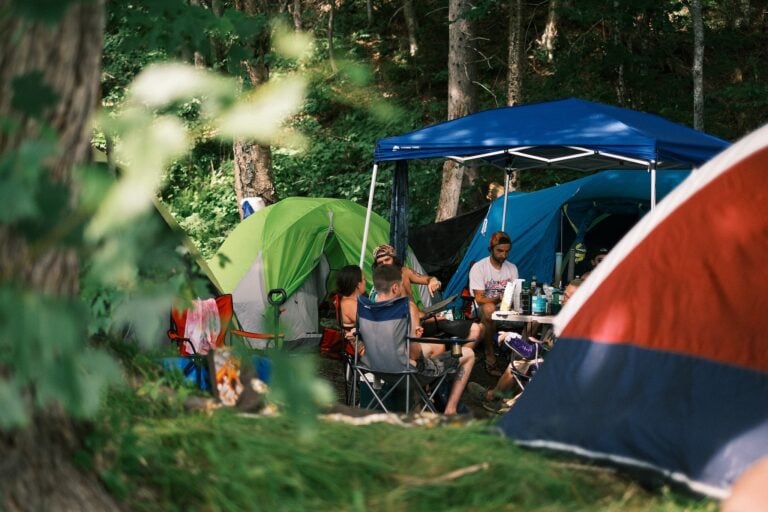 Photo du festival Future Forest 2022