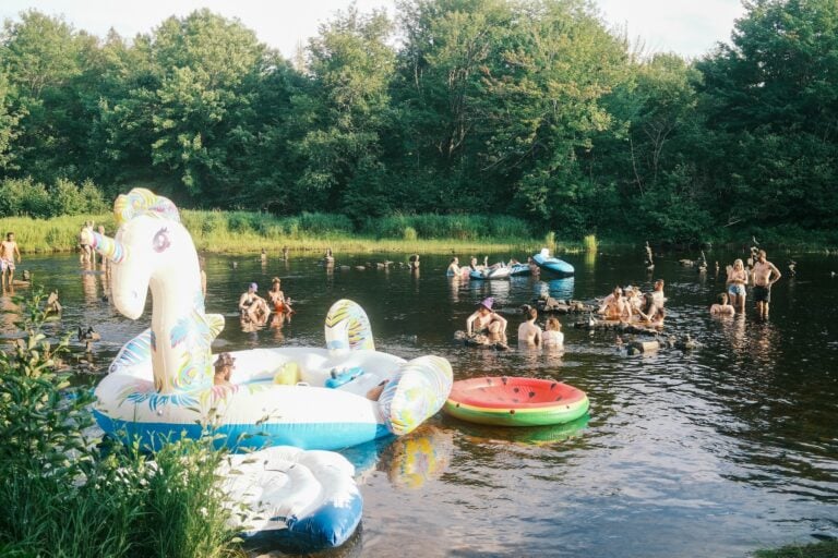 Photo du festival Future Forest 2022