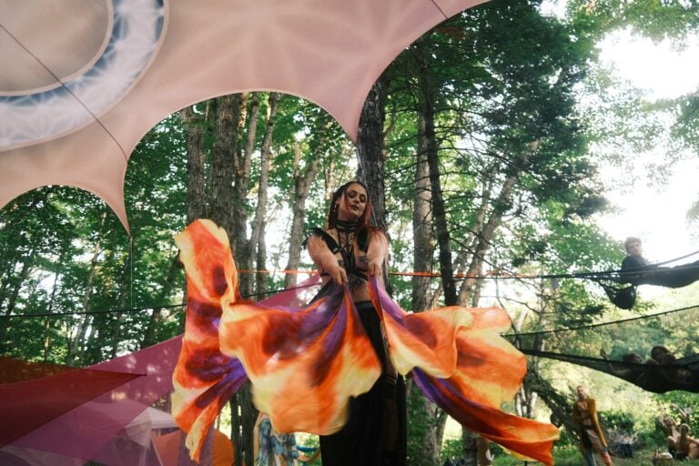 Photo du festival Future Forest 2022