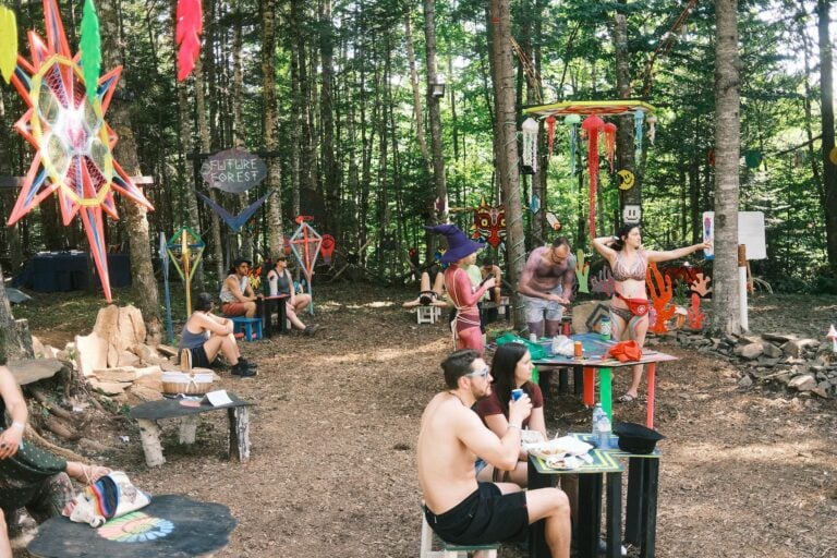 Photo du festival Future Forest 2022