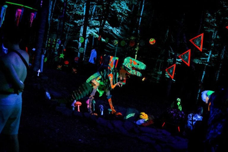 Photo du festival Future Forest 2022