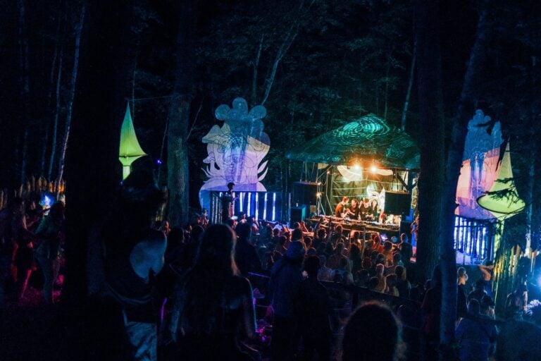 Photo du festival Future Forest 2022