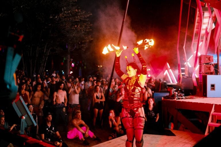 Photo du festival Future Forest 2022