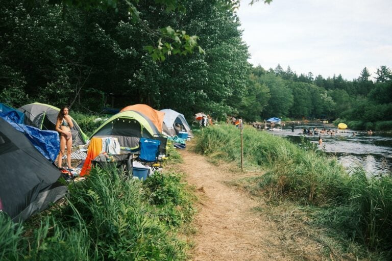 Photo du festival Future Forest 2022