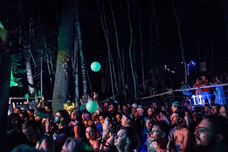 Photo du festival Future Forest 2022