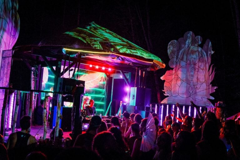 Photo du festival Future Forest 2022