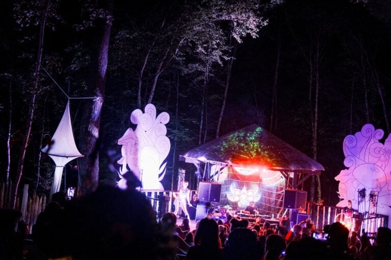 Photo du festival Future Forest 2022