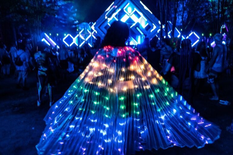 Photo du festival Future Forest 2022