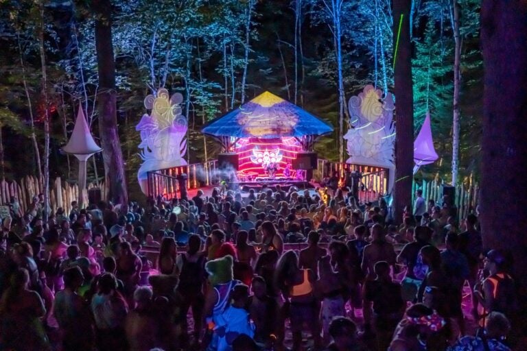 Photo du festival Future Forest 2022