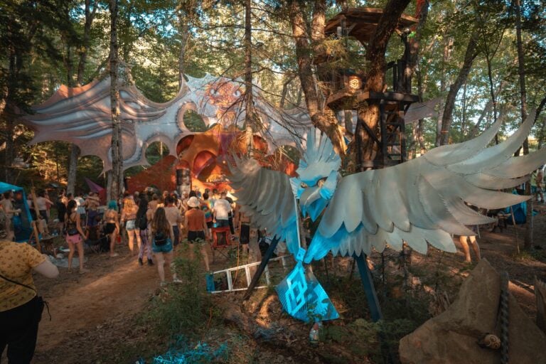 Photo du festival Future Forest 2022