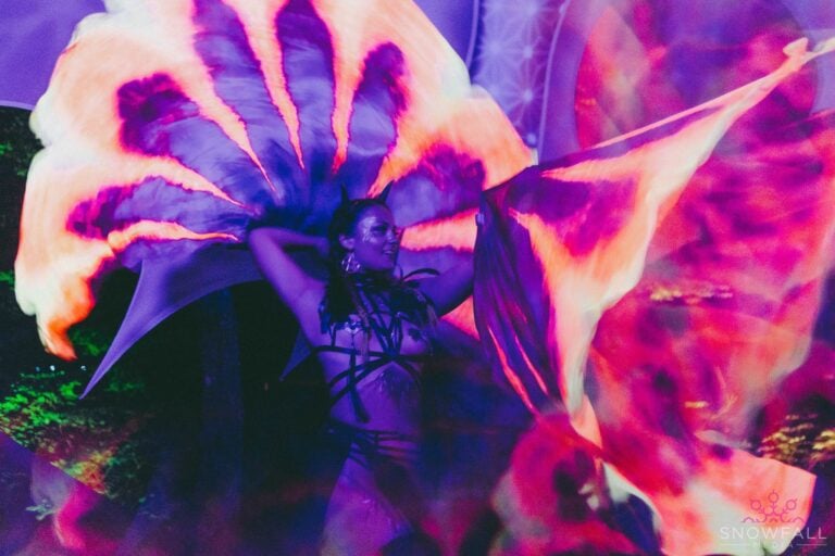 Photo du festival Future Forest 2022