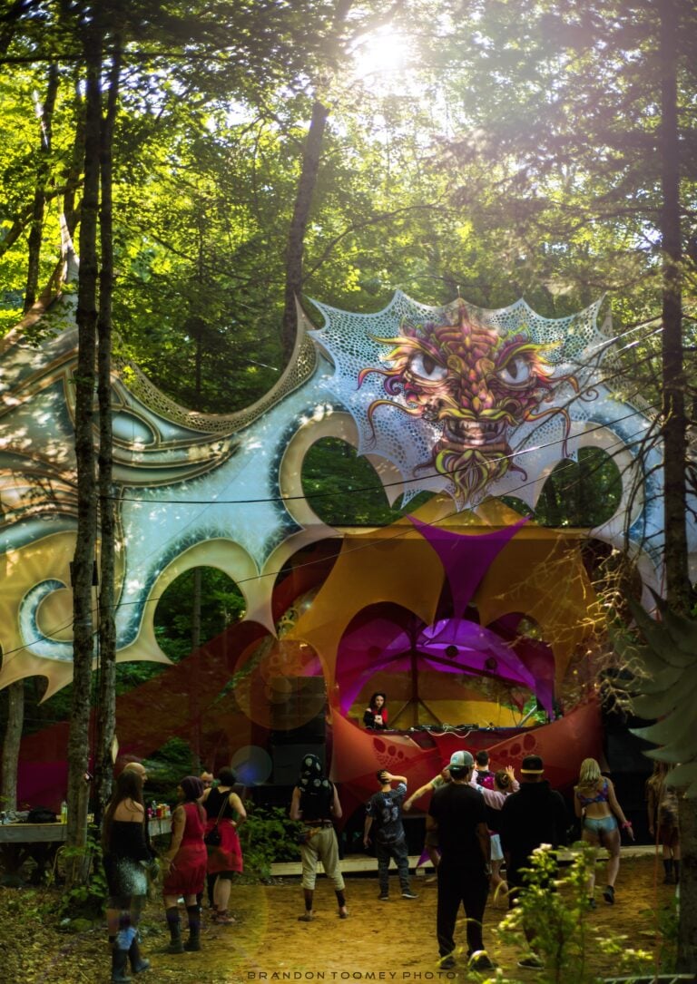 Photo du festival Future Forest 2022