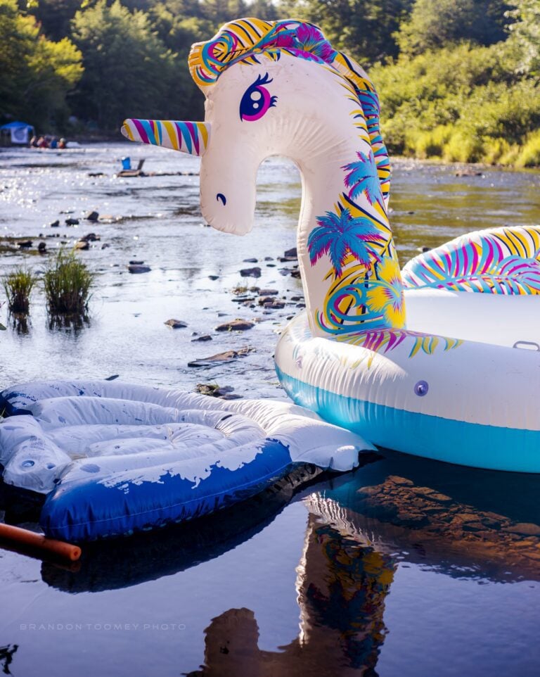 Photo du festival Future Forest 2022