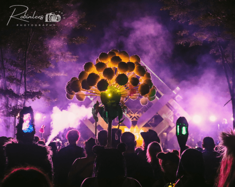 Photo du festival Future Forest 2023