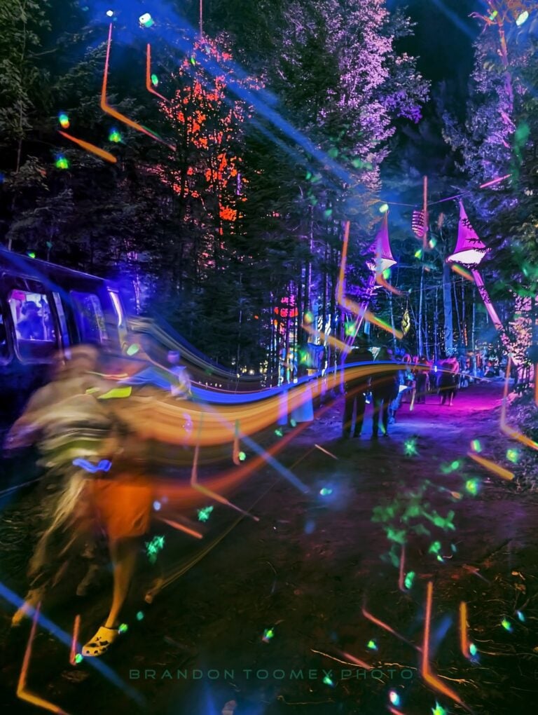 Photo du festival Future Forest 2023