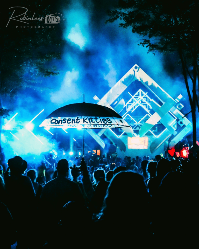 Photo du festival Future Forest 2023