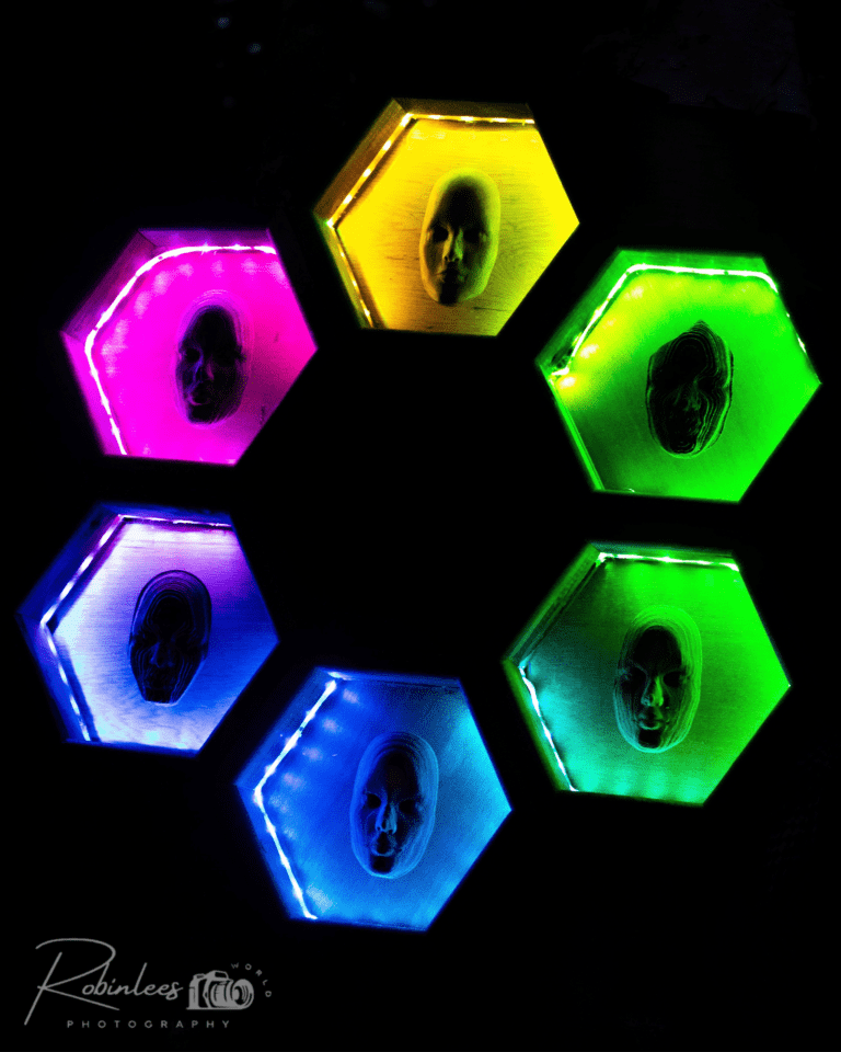Photo du festival Future Forest 2023