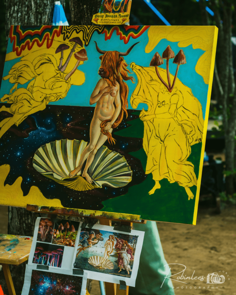 Photo du festival Future Forest 2023