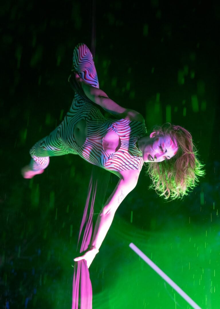 Photo du festival Future Forest 2023