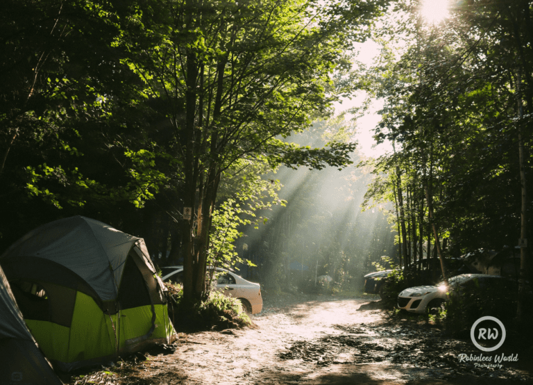 Photo du festival Future Forest 2023